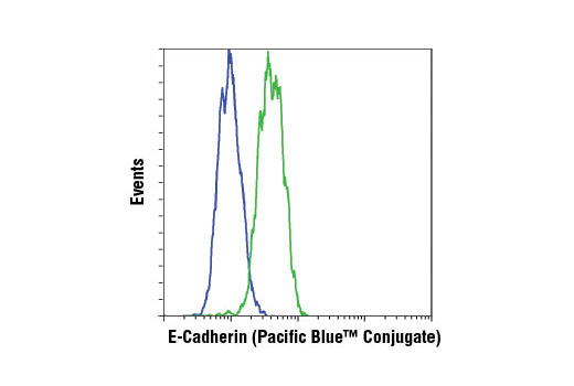  Flow cytometric analysis of HeLa (blue) and MCF7 (green) cells using E-Cadherin (24E10) Rabbit mAb (Pacific Blue™ Conjugate).