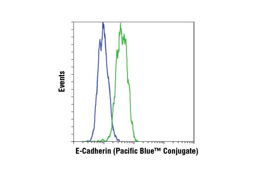 Flow cytometric analysis of HeLa (blue) and MCF7 (green) cells using E-Cadherin (24E10) Rabbit mAb (Pacific Blue™ Conjugate).