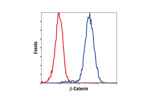  Flow cytometric analysis of HeLa cells using β-Catenin (L54E2) Mouse mAb (Biotinylated) (blue) compared to Mouse (MOPC-21) mAb IgG1 Isotype Control (Biotinylated) #4097 (red).