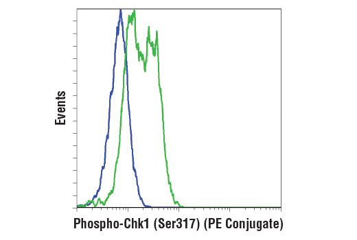  Flow cytometric analysis of SK-MEL-28 cells, untreated (blue) or neocarzinostatin-treated (green), using Phospho-Chk1 (Ser317) (D12H3) XP® Rabbit mAb (PE Conjugate).