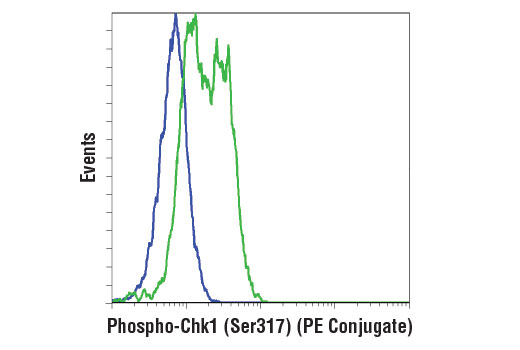 Flow cytometric analysis of SK-MEL-28 cells, untreated (blue) or neocarzinostatin-treated (green), using Phospho-Chk1 (Ser317) (D12H3) XP® Rabbit mAb (PE Conjugate).