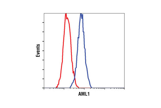 Flow cytometric analysis of Jurkat cells, using AML1 Antibody (blue) compared to a nonspecific negative control antibody (red).