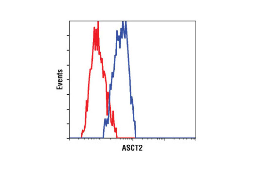 Flow cytometric analysis of HT-29 cells using ASCT2 (V501) Antibody (blue) compared to a nonspecific negative control antibody (red).