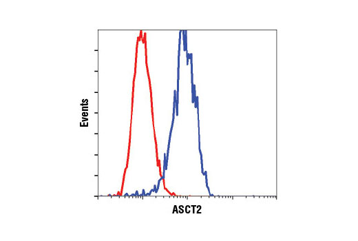 Flow cytometric analysis of HT-29 cells using ASCT2 (D7C12) Rabbit mAb (blue) compared to concentration matched Rabbit (DA1E) mAb IgG XP ® Isotype Control #3900 (red).