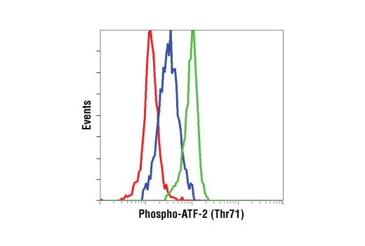 Flow cytometric analysis of THP-1 cells, untreated (blue) or Anisomycin treated (green), using Phospho-ATF-2 (Thr71) (11G2) Rabbit mAb compared to a nonspecific negative control antibody (red).
