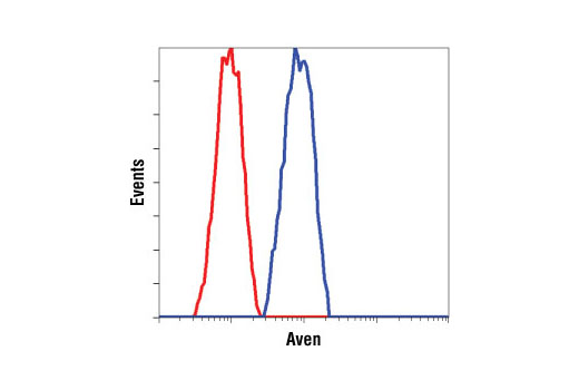 Flow cytometric analysis of Hela cells, using Aven Antibody (blue) compared to a nonspecific negative control antibody (red).