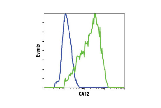 Flow cytometric analysis of A-204 cells (blue) and MCF7 cells (green) using CA12 (D75C6) XP ® Rabbit mAb.