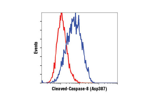 Flow cytometric analysis of CTLL-2 cells, untreated (red) or treated with cyclohexamide and hTNF-α #8902 (blue), using Cleaved Caspase-8 (Asp387) (D5B2) XP ® Rabbit mAb (Mouse Specific).