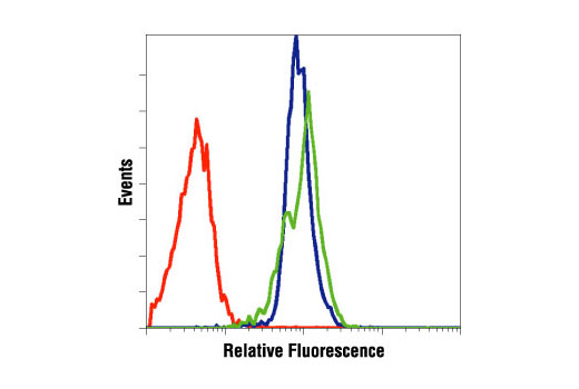 Flow cytometric analysis of Jurkat cells, untreated (blue) or etoposide-treated (green), using Caspase-9 Antibody (Human Specific) compared to a nonspecific negative control antibody (red).