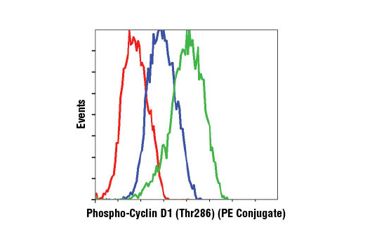  Flow cytometric analysis of HT-1080 cells, MG132 and λ phosphatase-treated (red), untreated (blue), or MG132-treated only (green), using Phospho-Cyclin D1 (Thr286) (D29B3) XP® Rabbit mAb (PE Conjugate).