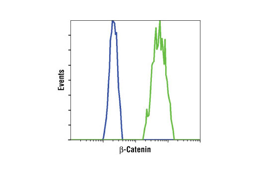 (IF Preferred) (green). Actin filaments have been labeled with DY-554 phalloidin (red). Blue pseudocolor = DRAQ5™ (fluorescent DNA dye).