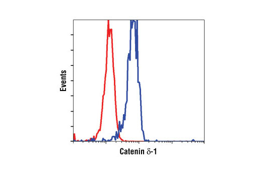 Flow cytometric analysis of NIH/3T3 cells, using Catenin δ-1 Antibody (blue) compared to a nonspecifc negative control antibody (red).