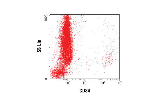 Flow cytometric analysis of peripheral blood spiked with CD34-positive Stem-Trol™ Control Cells (Beckman Coulter) using CD34 (ICO-115) Mouse mAb.
