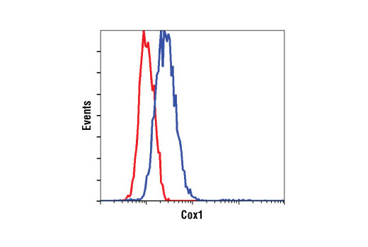 Flow cytometric analysis of NIH/3T3 cells using Cox1 Antibody (blue) compared to a nonspecific negative control antibody (red).