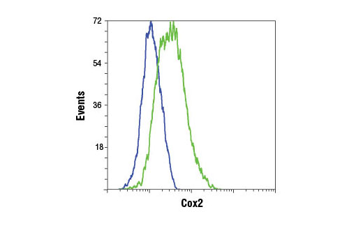 Flow cytometric analysis of Raw 264.7 cells, untreated (blue) or LPS-treated (1μg/ml, 24 hrs; green), using Cox2 (D5H5) XP ® Rabbit mAb. Anti-rabbit IgG (H+L), F(ab') 2 Fragment (Alexa Fluor ® 488 Conjugate) #4412 was used as a secondary antibody.