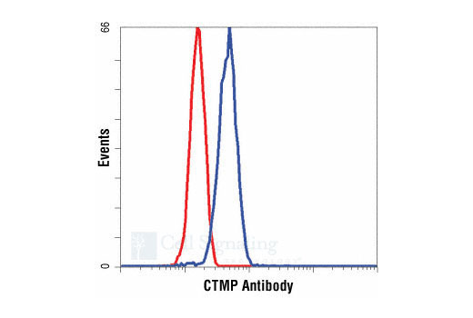 Flow cytometric analysis of HeLa cells, using CTMP antibody (blue) compared to a nonspecific negative control antibody (red).