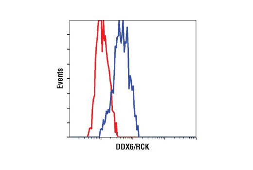 Flow cytometric analysis of HeLa cells using DDX6/RCK Antibody (blue) compared to a nonspecific negative control antibody (red).