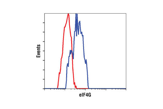 Flow cytometric analysis of HeLa cells using eIF4G (C45A4) Rabbit mAb (blue) compared to a nonspecific negative control antibody (red).
