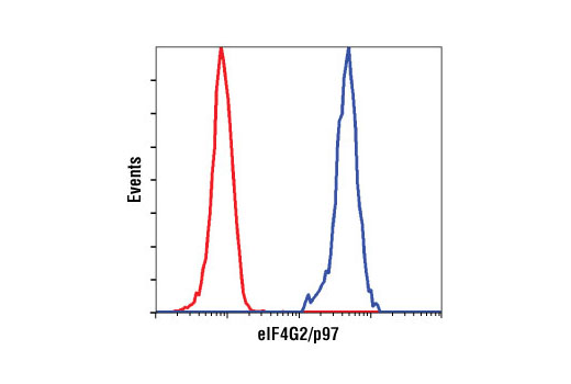 Flow cytometric analysis of HeLa cells using eIF4G2/p97 (D88B6) XP ® Rabbit mAb (blue) compared to Rabbit (DA1E) mAb IgG XP ® Isotype Control #3900 (red).
