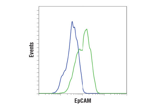 Flow cytometric analysis of HeLa cells (blue) and MCF7 cells (green) using EpCAM (D9S3P) Rabbit mAb (IHC Preferred). Anti-rabbit IgG(H+L), F(ab') 2 Fragment (Alexa Fluor ® 488 Conjugate) #4412 was used as a secondary antibody.