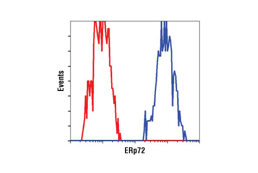 Flow cytometric analysis of Hep G2 cells using ERp72 (D70D12) XP ® Rabbit mAb (blue) compared to a nonspecific negative control antibody (red).