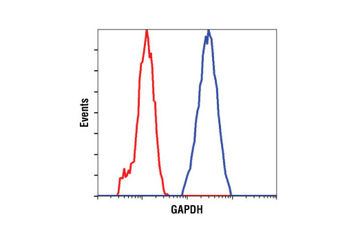 Flow cytometric analysis of HeLa cells using GAPDH (14C10) Rabbit mAb antibody (blue) compared to a nonspecific negative control antibody (red).