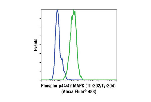 Flow cytometric analysis of Jurkat cells, U0126-treated (blue) or PMA-treated (green), using Phospho-p44/42 MAPK (Erk1/2) (Thr202/Tyr204) (D13.14.4E) XP® Rabbit mAb (Alexa Fluor® 488 Conjugate).