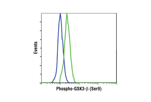 Flow cytometric analysis of NIH/3T3 cells, untreated (blue) or PDGF-treated (green), using Phospho-GSK-3β (Ser9) (D85E12) XP ® Rabbit mAb.