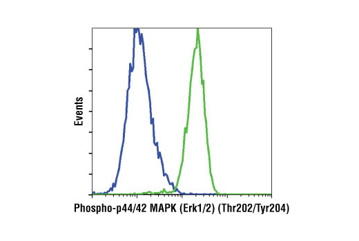  Flow cytometric analysis of Jurkat cells, U0126-treated (blue) or TPA-treated (green), using Phospho-p44/42 MAPK (Erk1/2) (Thr202/Tyr204) (D13.14.4E) XP® Rabbit mAb (Biotinylated).