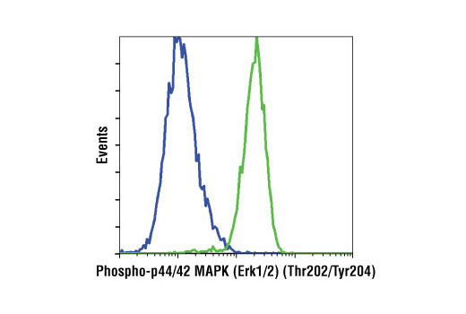Flow cytometric analysis of Jurkat cells, U0126-treated (blue) or TPA-treated (green), using Phospho-p44/42 MAPK (Erk1/2) (Thr202/Tyr204) (D13.14.4E) XP® Rabbit mAb (Biotinylated).