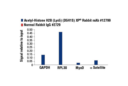 Chromatin immunoprecipitations were performed with cross-linked chromatin from 4 x 10 6 HeLa cells and either 10 µl of Acetyl-Histone H2B (Lys5) (D5H1S) XP ® Rabbit mAb or 2 µl of Normal Rabbit IgG #2729 using SimpleChIP ® Enzymatic Chromatin IP Kit (Magnetic Beads) #9003. The enriched DNA was quantified by real-time PCR using SimpleChIP ® Human GAPDH Exon 1 Primers #5516, SimpleChIP ® Human RPL30 Exon 3 Primers #7014, SimpleChIP ® Human MyoD1 Exon 1 Primers #4490, and SimpleChIP ® Human α Satellite Repeat Primers #4486. The amount of immunoprecipitated DNA in each sample is represented as signal relative to the total amount of input chromatin, which is equivalent to one.
