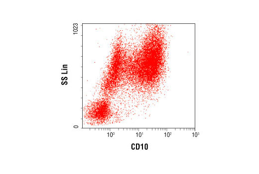 Flow cytometric analysis of whole blood, using CD10 (CB-CALLA) Mouse mAb.