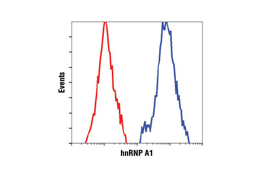 Flow cytometric analysis of HeLa cells using hnRNP A1 (D21H11) Rabbit mAb (blue) compared to Rabbit (DA1E) mAb IgG XP ® Isotype Control #3900 (red).