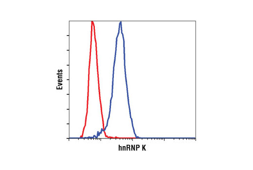 Flow cytometric analysis of HeLa cells using hnRNP K (R332) Antibody (blue) compared to Rabbit (DA1E) mAb IgG XP ® Isotype Control #3900 (red).