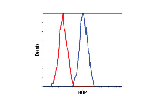 Flow cytometric analysis of untreated HeLa cells using HOP (D10E2) XP ® Rabbit mAb (blue) compared to Rabbit (DA1E) mAb IgG XP ® Isotype Control #3900 (red).