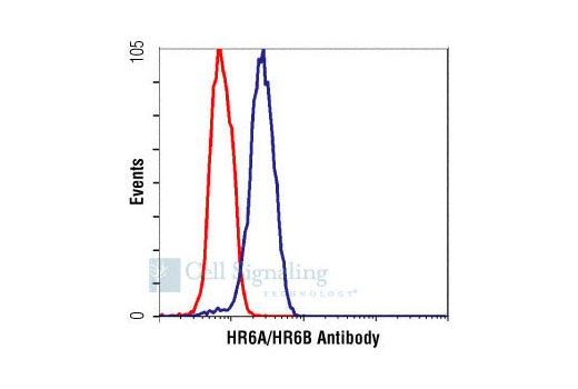 Flow cytometric analysis of untreated Jurkat cells, using HR6A/HR6B Antibody (blue) compared to a nonspecific negative control antibody (red).