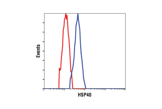 Flow cytometric analysis of HeLa cells, using HSP40 Antibody (blue) compared to a nonspecific negative control antibody (red).