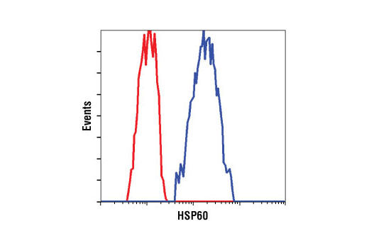 Flow cytometric analysis of HeLa cells using HSP60 (D85) Antibody (blue) compared to a nonspecific negative control antibody (red).