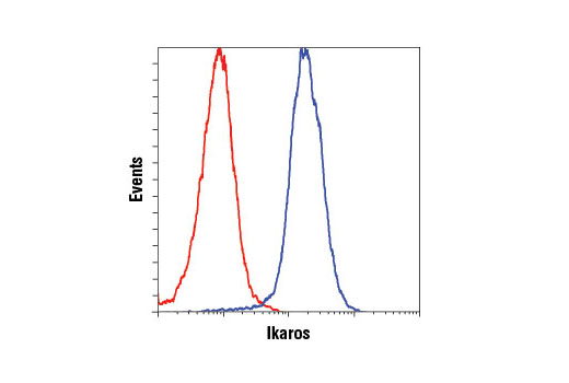 Flow cytometric analysis of Ramos cells using Ikaros (D10E5) Rabbit mAb (blue) compared to concentration-matched Rabbit (DA1E) mAb IgG XP ® Isotype Control #3900 (red). Anti-rabbit IgG (H+L), F(ab') 2 Fragment (Alexa Fluor ® 488 Conjugate) #4412 was used as a secondary antibody.