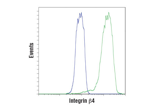 Flow cytometric analysis of A-204 cells (blue) and A-431 cells (green) using Integrin β4 (D8P6C) XP ® Rabbit mAb. Anti-rabbit IgG (H+L), F(ab') 2 Fragment (Alexa Fluor ® 488 Conjugate) #4412 was used as a secondary antibody.