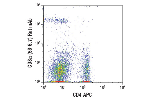 Flow cytometric analysis of fixed murine splenocytes using CD8α (53-6.7) Rat mAb co-stained with CD4-APC, showing a distinct CD8α positive population with no cross reactivity on CD4 positive cells. A mouse anti-rat IgG2a PE conjugate was used as a secondary antibody.