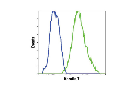 Flow cytometric analysis of MCF7 (blue) and HeLa (green) cells using Keratin 7 (D1E4) XP ® Rabbit mAb.
