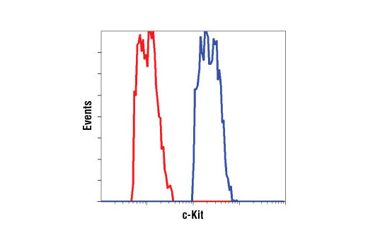 Flow cytometric analysis of H526 cells using c-Kit (Ab81) Mouse mAb (blue) compared to a nonspecific negative control antibody (red).