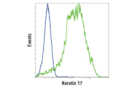 Flow cytometric analysis of SK-MEL-28 (blue) and HeLa (green) cells using Keratin 17 (D12E5) XP ® Rabbit mAb. Anti-rabbit IgG (H+L), F(ab') 2 Fragment (Alexa Fluor ® 647 Conjugate) #4414 was used as a secondary antibody.