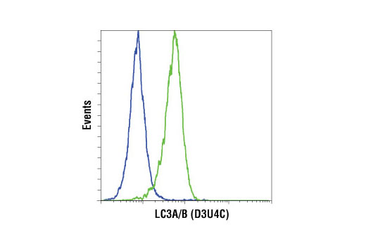 Flow cytometric analysis of HeLa cells, untreated (blue) or treated with chloroquine (50 µM, 16 hr) (green), using LC3A/B (D3U4C) Rabbit mAb. Anti-rabbit IgG (H+L), F(ab') 2 Fragment (Alexa Fluor ® 647 Conjugate) #4414 was used as a secondary antibody.