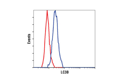 Flow cytometric analysis of HeLa cells using LC3B (D11) XP ® Rabbit mAb (blue) compared to a nonspecific negative control antibody (red).