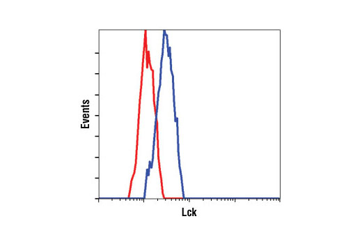 Flow cytometric analysis of Jurkat cells, using Lck (73A5) Rabbit mAb (blue) compared to a nonspecific negative control antibody (red).