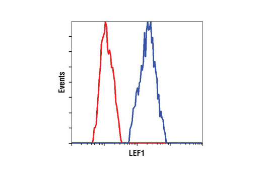 Flow cytometric analysis of untreated Jurkat cells using LEF1 (C12A5) Rabbit mAb (blue) compared to a nonspecific negative control antibody (red).