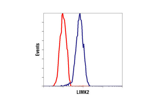 Flow cytometric analysis of Jurkat cells, using LIMK2 (8C11) Rabbit mAb Antibody (blue) compared to a nonspecific negative control antibody (red).