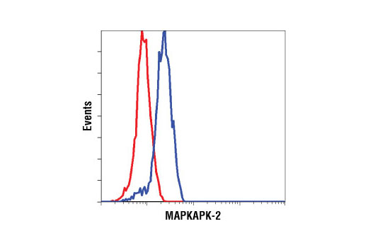 Flow cytometric analysis of Hela cells using MAPKAPK-2 Antibody (blue) compared to a nonspecific negative control antibody (red).